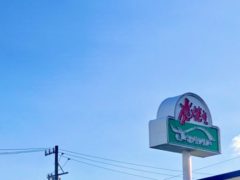 静岡へ　　　　by　　小堺