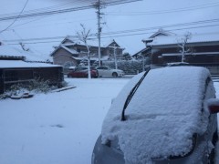 大雪でしたね‥　by 岡本