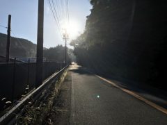 トライアスロン部　朝練　　okamoto