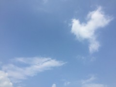 S__15859757
