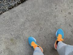 春はすぐそこ　　okamoto