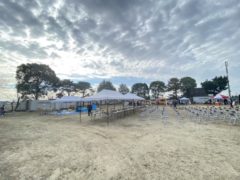 町内マルシェのお手伝い　　okamoto