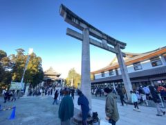 今年も宜しくお願いします。　　okamoto