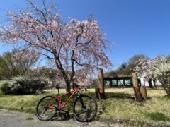 豊田水源緑地公園へ　　　okamoto